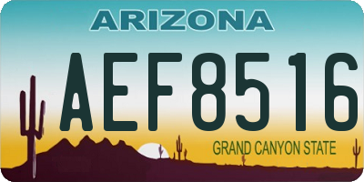 AZ license plate AEF8516
