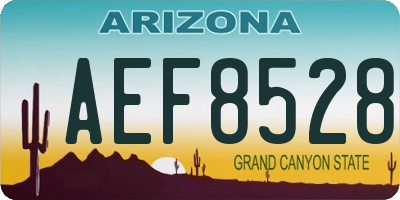 AZ license plate AEF8528