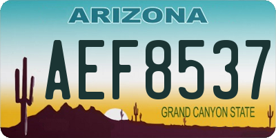 AZ license plate AEF8537