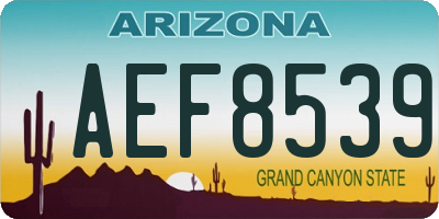 AZ license plate AEF8539