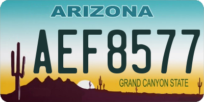 AZ license plate AEF8577