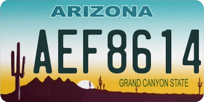 AZ license plate AEF8614