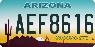 AZ license plate AEF8616
