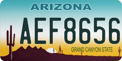 AZ license plate AEF8656