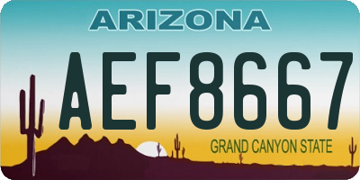 AZ license plate AEF8667