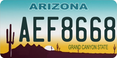 AZ license plate AEF8668