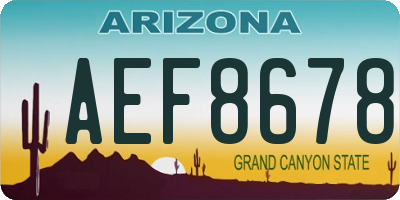 AZ license plate AEF8678