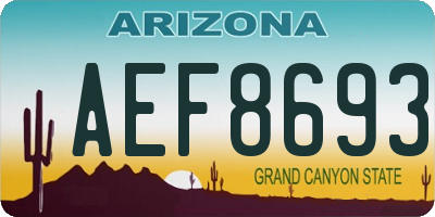 AZ license plate AEF8693