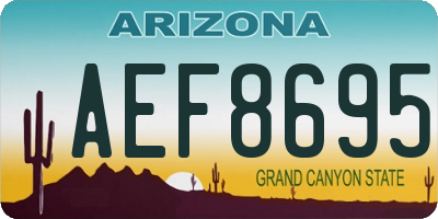 AZ license plate AEF8695