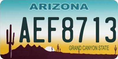 AZ license plate AEF8713