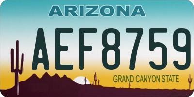 AZ license plate AEF8759