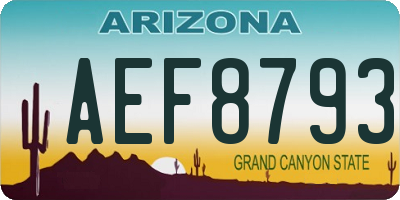 AZ license plate AEF8793