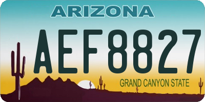 AZ license plate AEF8827