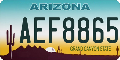 AZ license plate AEF8865