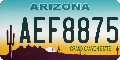 AZ license plate AEF8875