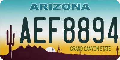 AZ license plate AEF8894