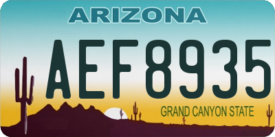 AZ license plate AEF8935