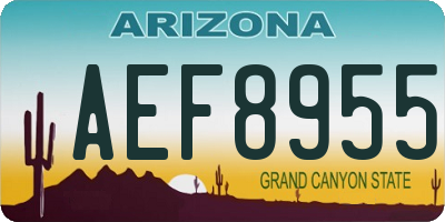 AZ license plate AEF8955