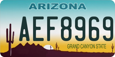 AZ license plate AEF8969