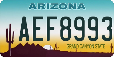 AZ license plate AEF8993
