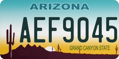 AZ license plate AEF9045