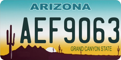AZ license plate AEF9063