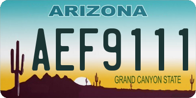 AZ license plate AEF9111