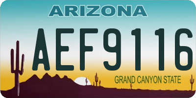 AZ license plate AEF9116