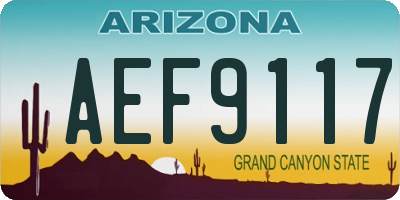 AZ license plate AEF9117