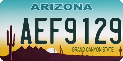 AZ license plate AEF9129