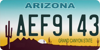 AZ license plate AEF9143