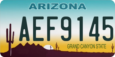 AZ license plate AEF9145