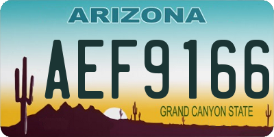AZ license plate AEF9166