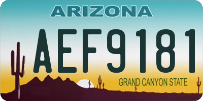 AZ license plate AEF9181