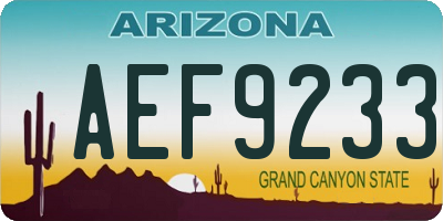 AZ license plate AEF9233
