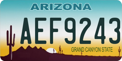 AZ license plate AEF9243
