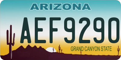 AZ license plate AEF9290