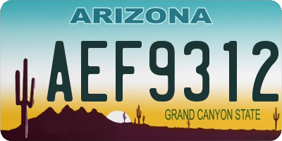 AZ license plate AEF9312