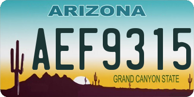 AZ license plate AEF9315