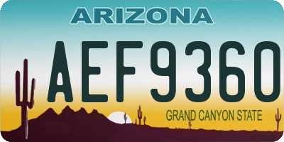 AZ license plate AEF9360