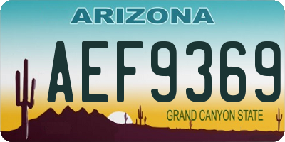 AZ license plate AEF9369