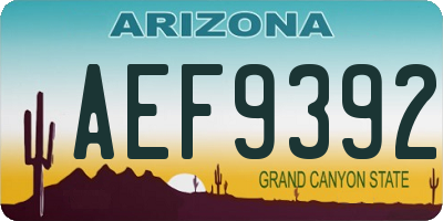 AZ license plate AEF9392