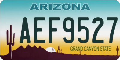 AZ license plate AEF9527