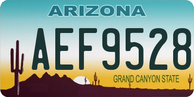 AZ license plate AEF9528