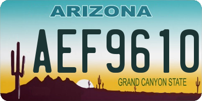 AZ license plate AEF9610