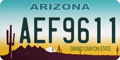 AZ license plate AEF9611