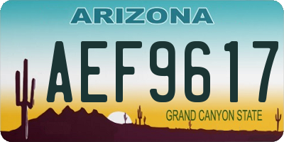 AZ license plate AEF9617