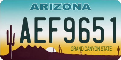 AZ license plate AEF9651