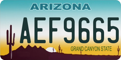 AZ license plate AEF9665