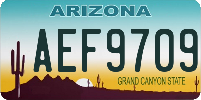AZ license plate AEF9709